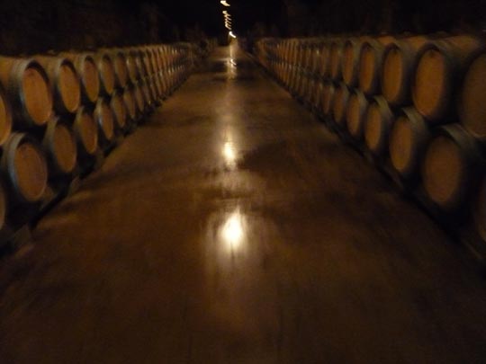  ALICIA OTAEGUI _ veo doble 