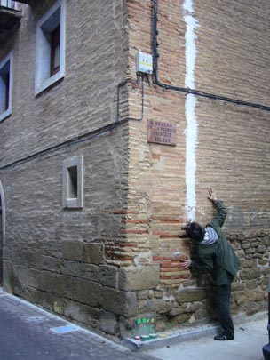  ALICIA OTAEGUI _ visioso 