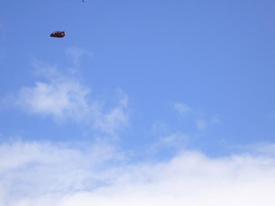  ALICIA OTAEGUI _ zepelín 