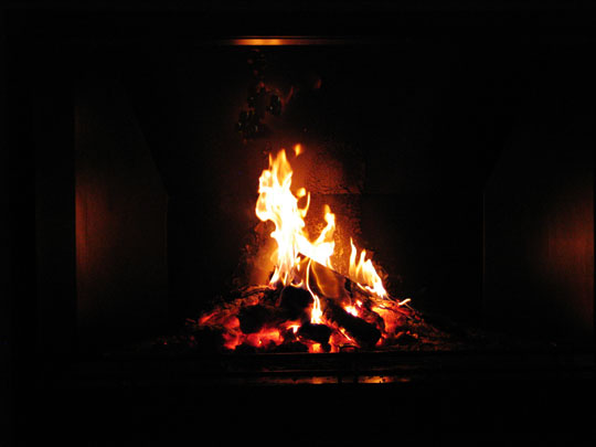  OMAR AYYASHI _ hot dog (hot pitu) 