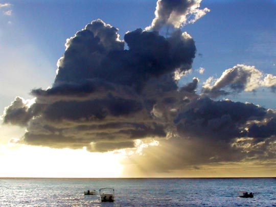  OMAR AYYASHI _ no te veo 