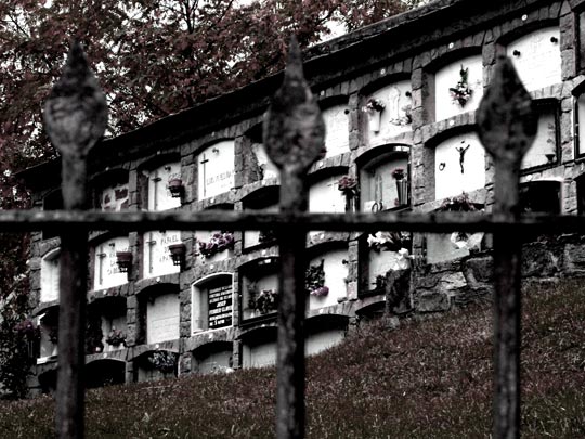  PAU COSTA _ al otro lado 