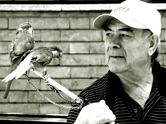  PAU COSTA _ cómplices 