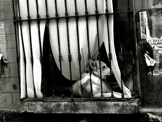  PAU COSTA _ guardián 