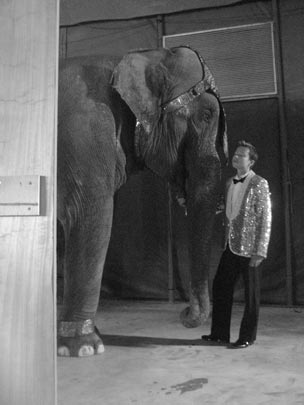  PAU COSTA _ jo també t'estimo 