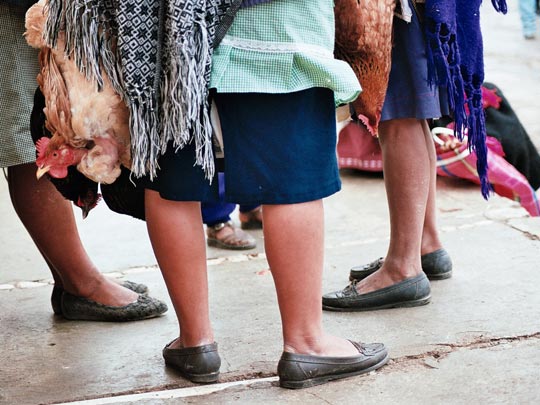  PAU COSTA _ la sang al cap 