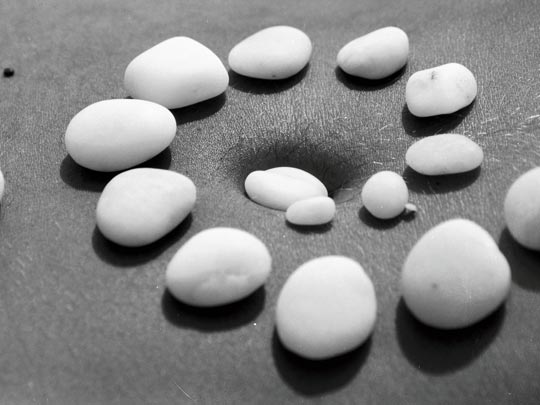  PAU COSTA _ mel i cargol 