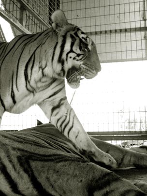  PAU COSTA _ punto de vista 