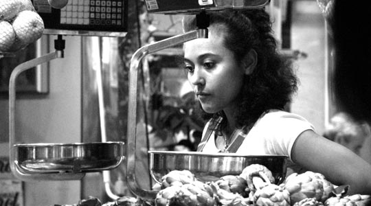  PAU COSTA _ santa catarina 