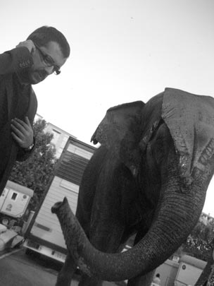  PAU COSTA _ si, digui, digui... 