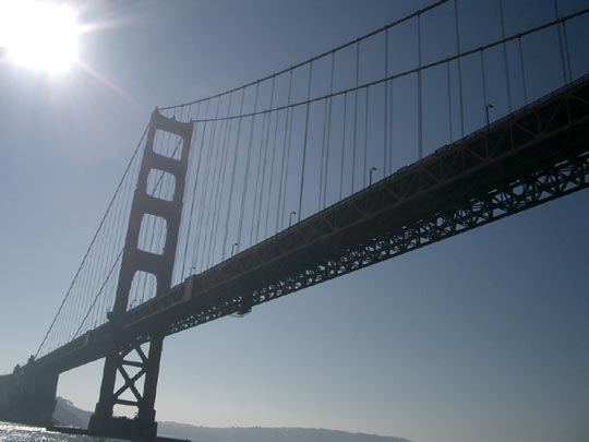  PEP POBLET _ wallpaper yanki 