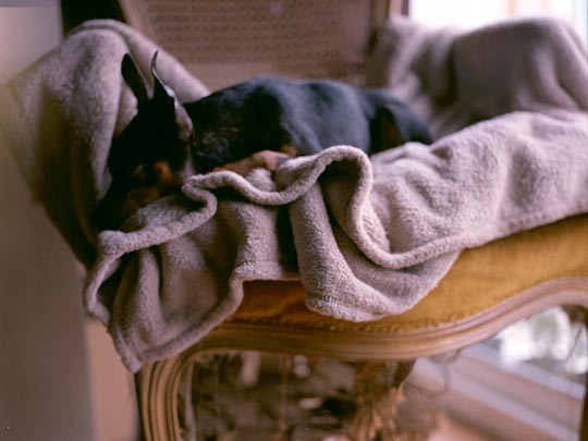  SARA COSTA _ bodegón (1) 