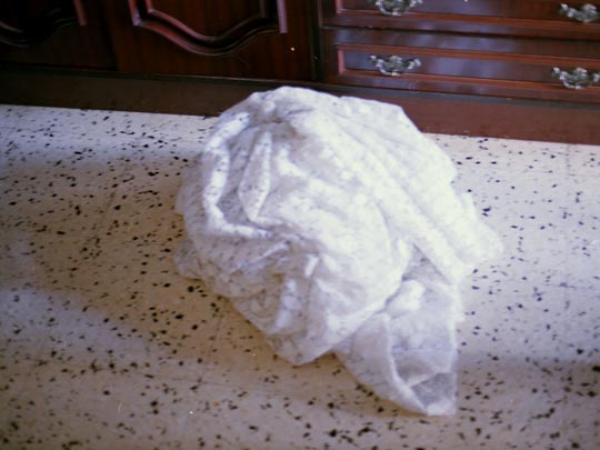  SARA COSTA _ cortina 