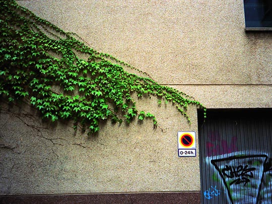  SARA COSTA _ el poder 