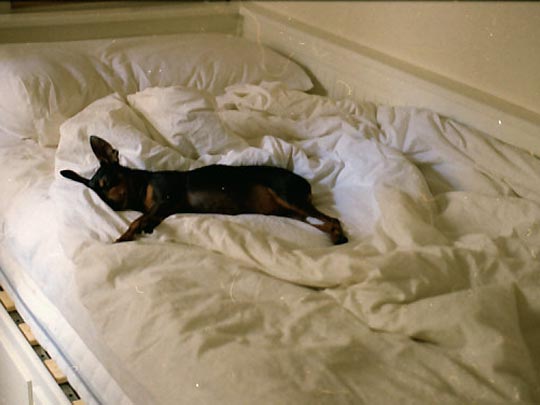  SARA COSTA _ en las nubes 