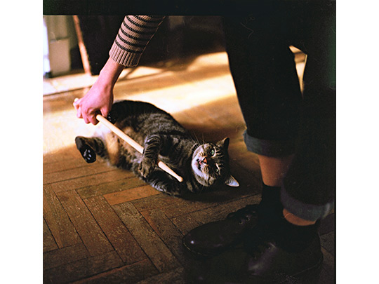  SARA COSTA _ gato loco 