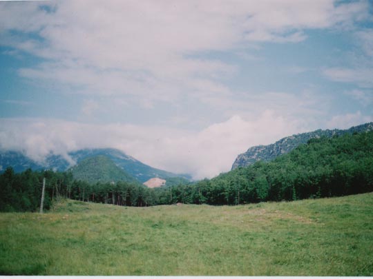  SARA COSTA _ hedredón 