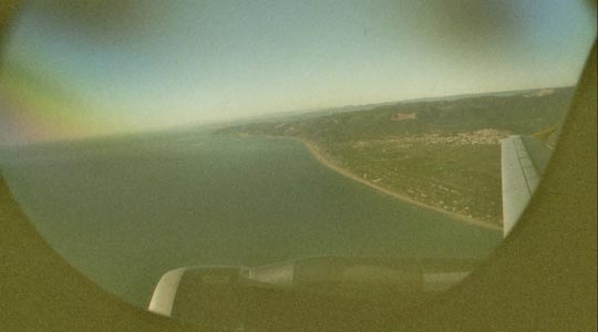  SARA COSTA _ see you later, aligator 