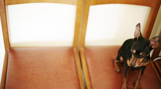  SARA COSTA _ te espero sentado 