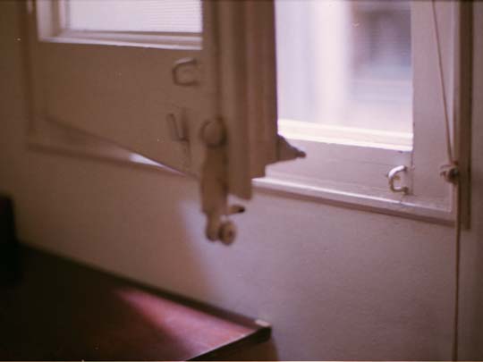  SARA COSTA _ tu ventana 