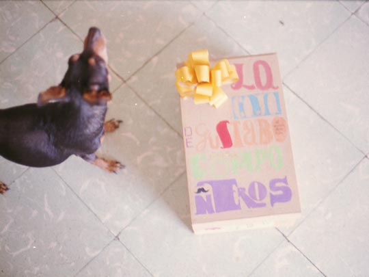  SARA COSTA _ un regalito y mi perro peach 