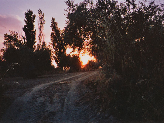  SARA COSTA _ vamos al cajero 