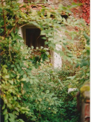  SARA COSTA _ ventana 