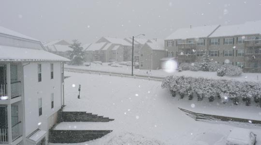  SILVIA CORBERA _ bombolletes 