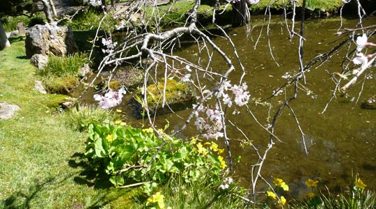  SILVIA CORBERA _ cuando (2) 