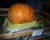  [CAPTURA / si esto es la calabaza, ¿cómo será cenicienta?] 