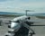  [CAPTURA / calafate] 