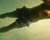  [CAPTURA / un cuerpo c.s.i.] 