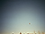  [CAPTURA / caramelo] 