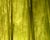  [CAPTURA / bosque verde] 