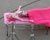  [CAPTURA / stamby rosa] 