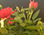  [CAPTURA / sant jordi] 