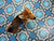  [CAPTURA / perro de ciudad] 