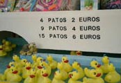  QUIMI PORTET _ temporada de patos 